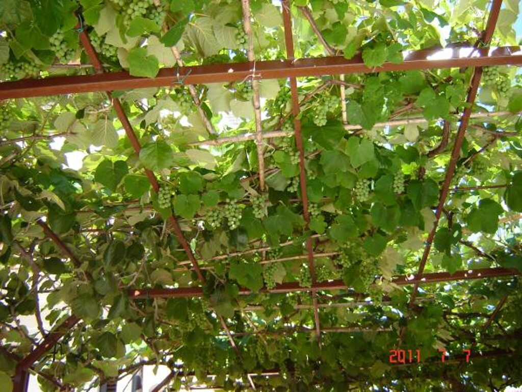 Image 3838630 - 7