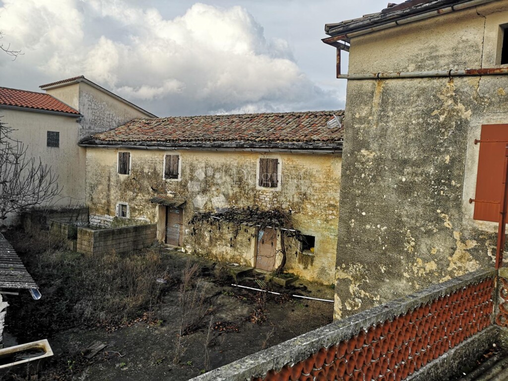 Image 21