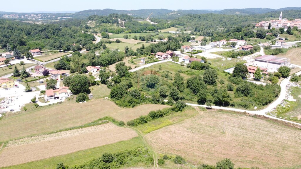 Image 5429639 - 2