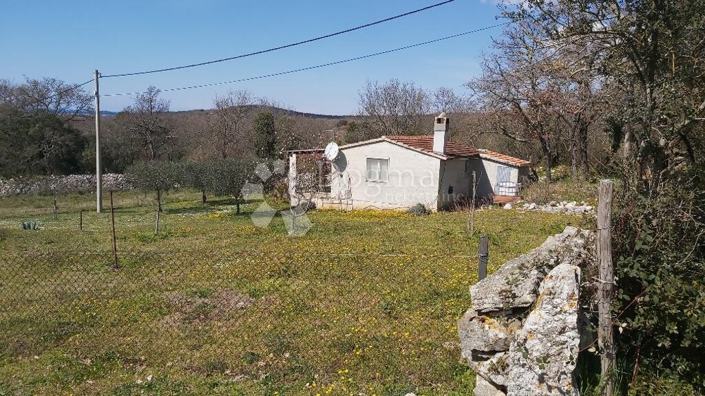 Image 13