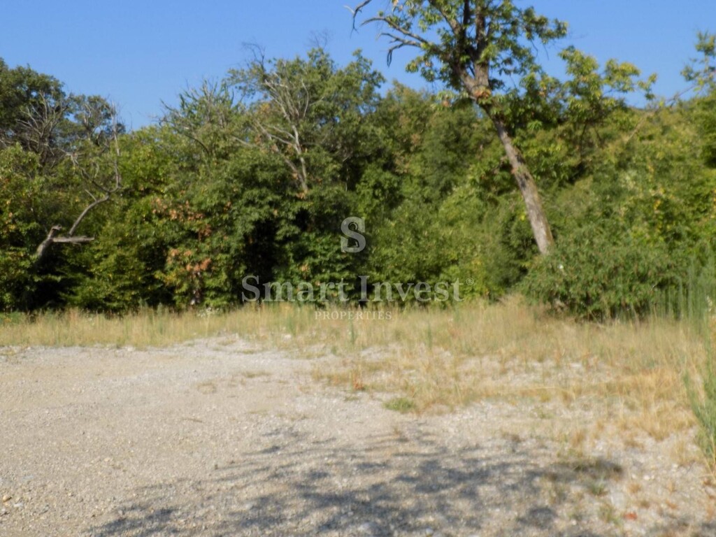 Image 6