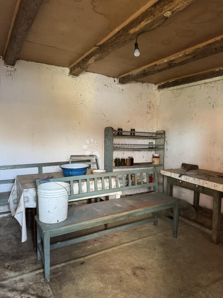 Image 20