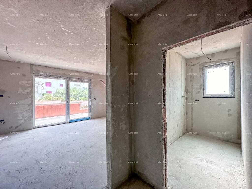 Image 12