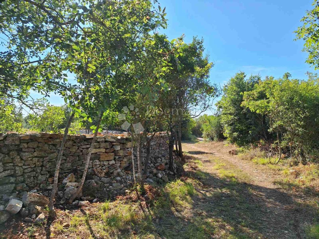 Image 9