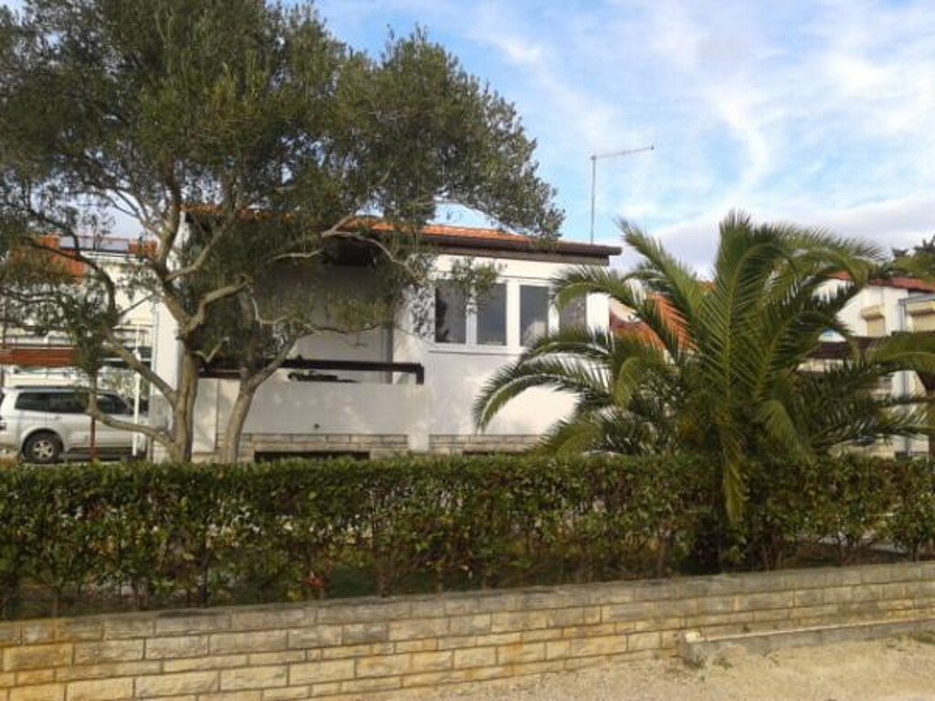 Image 3811754 - 1