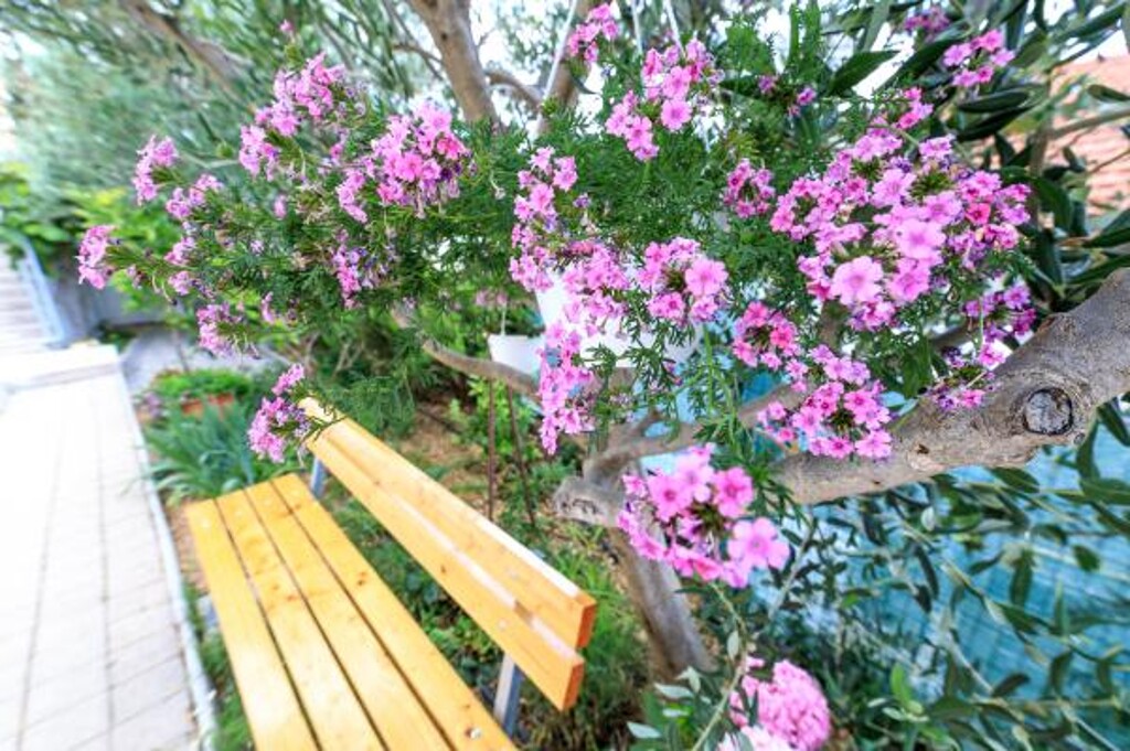 Image 3811846 - 4