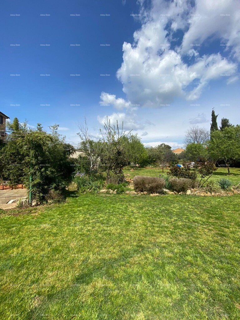 Image 14