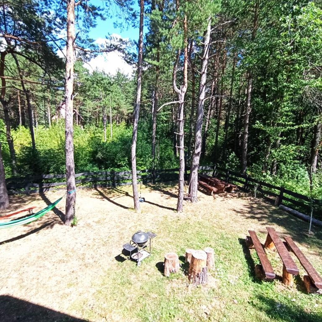 Image 3838431 - 3