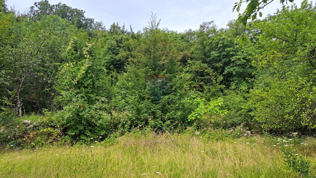 Image 5429440 - 9