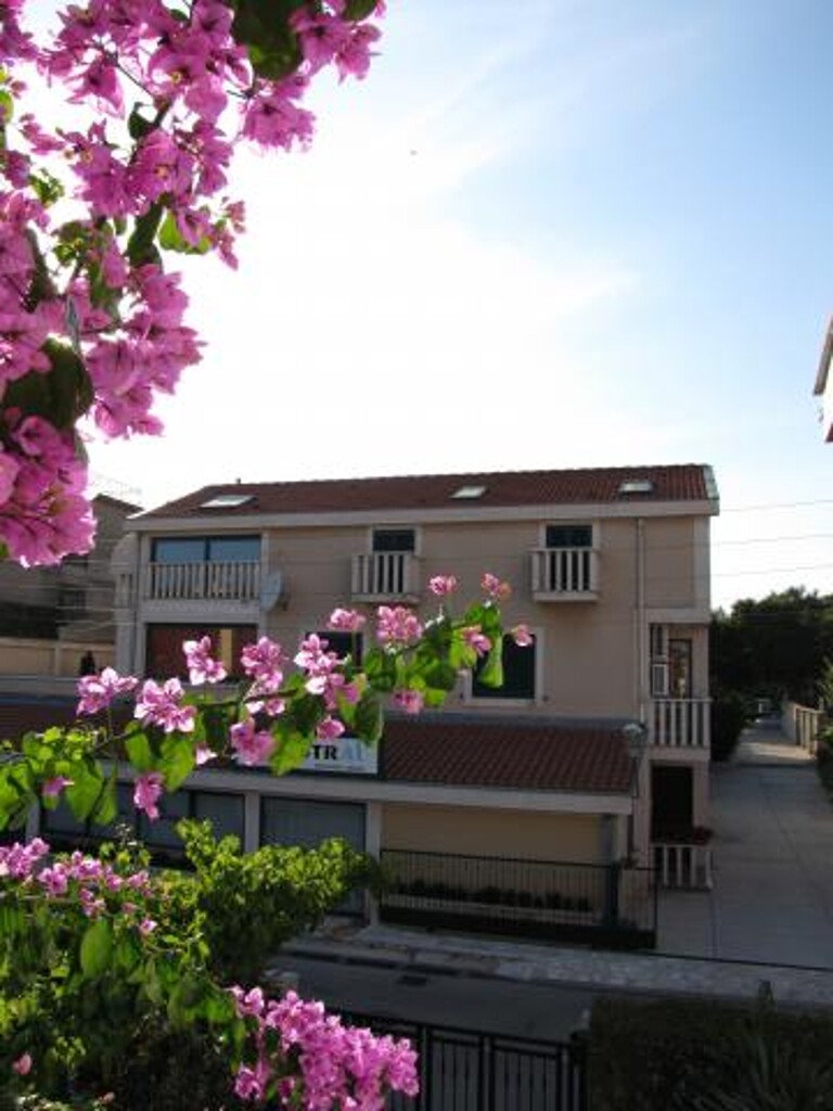 Image 3814129 - 3