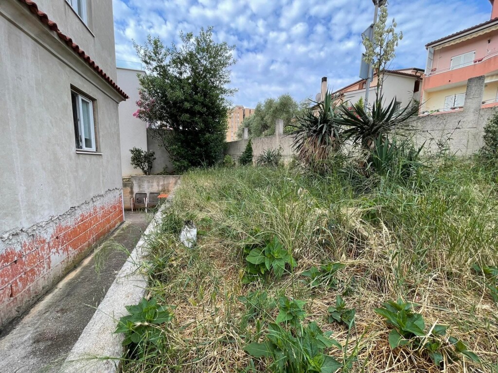 Image 14