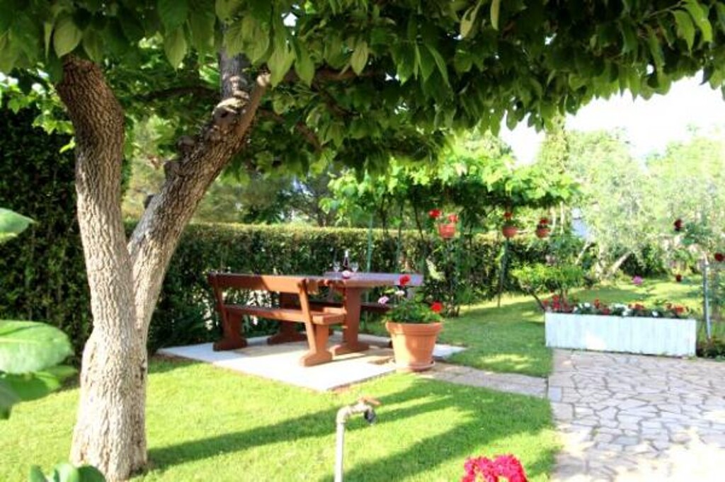 Image 3811601 - 7