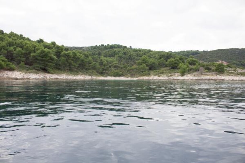 Image 3811119 - 10