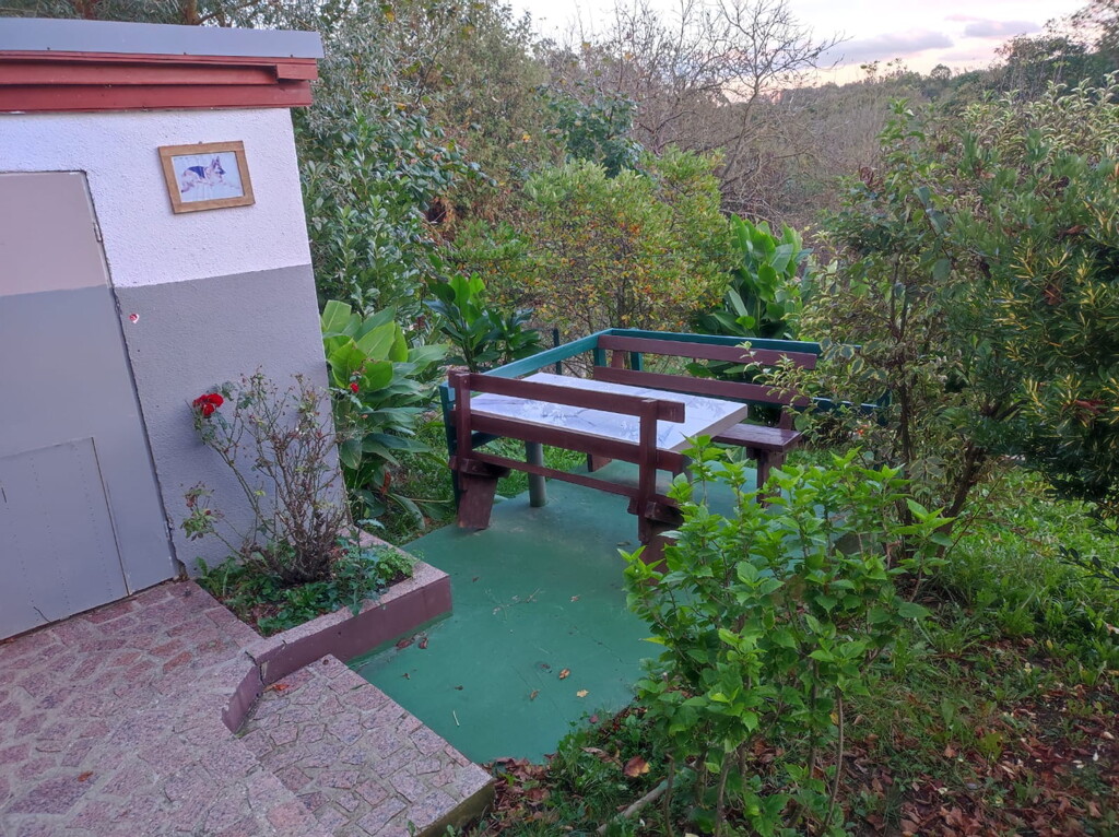Image 15