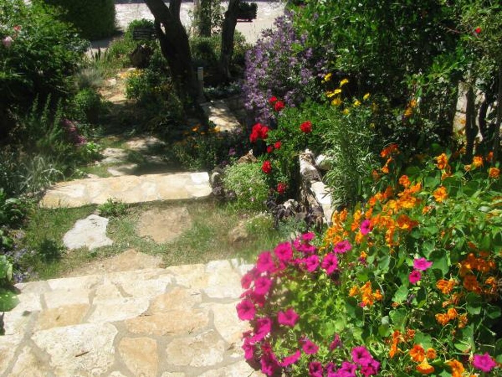 Image 3823112 - 11