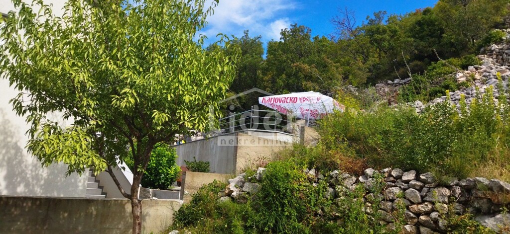 Image 6144945 - 2