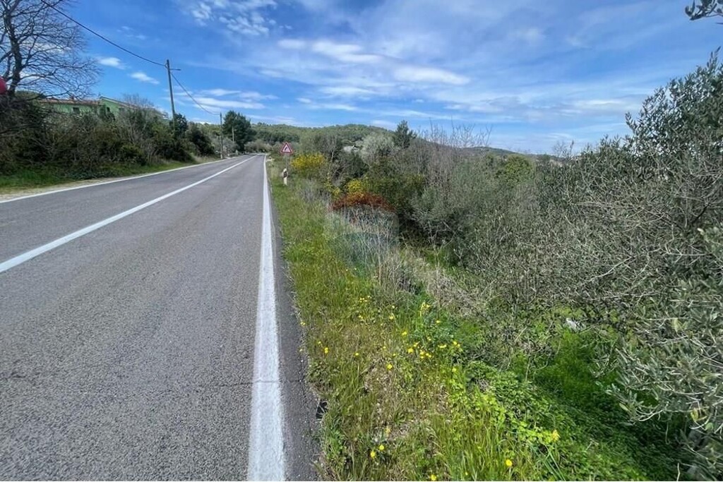 Image 12