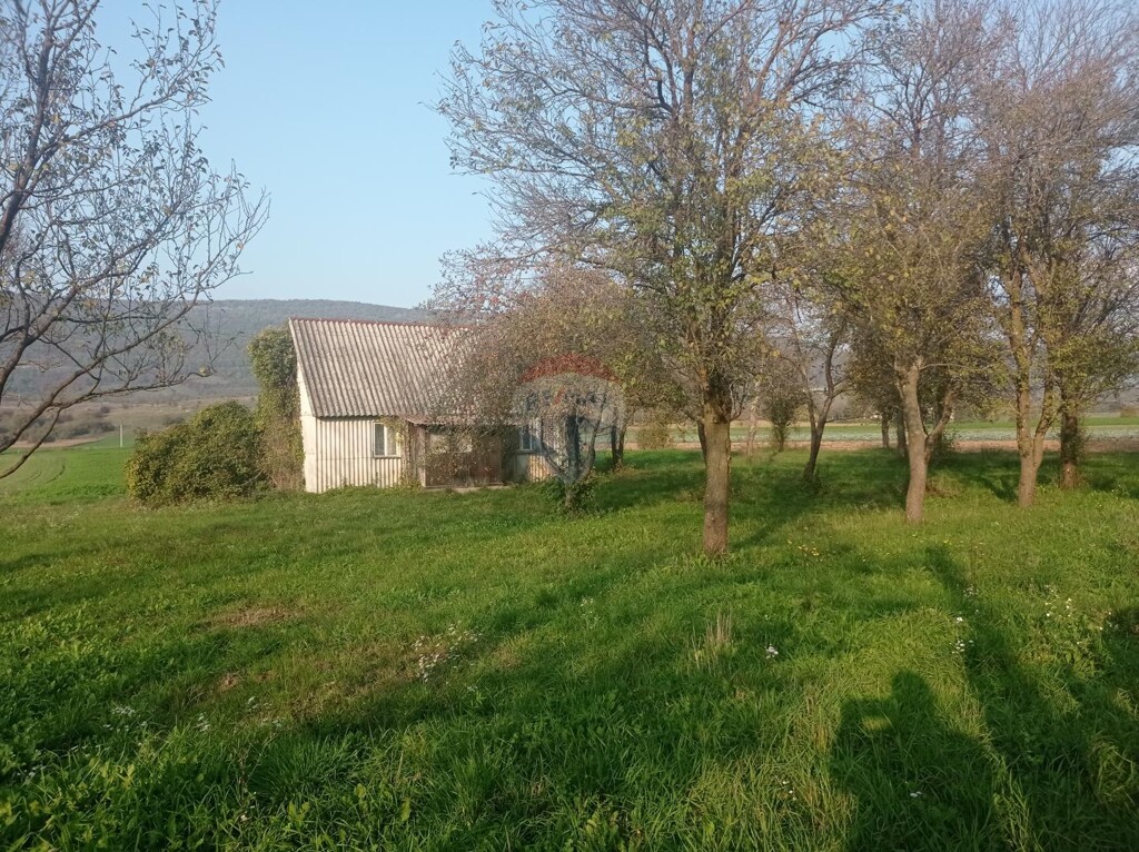 Image 5487649 - 1