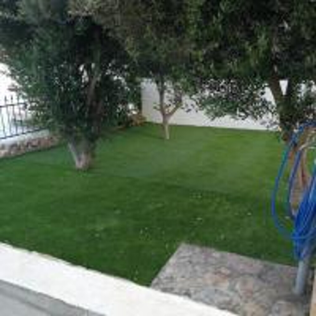 Image 3812445 - 11
