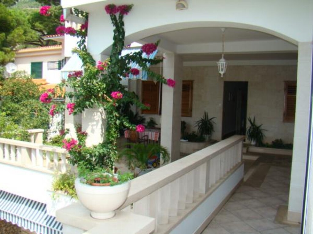 Image 3838455 - 19