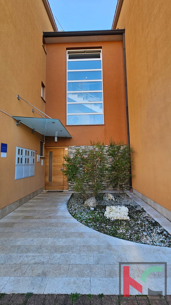Image 19