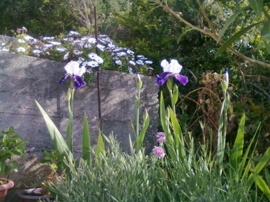 Image 3811681 - 11