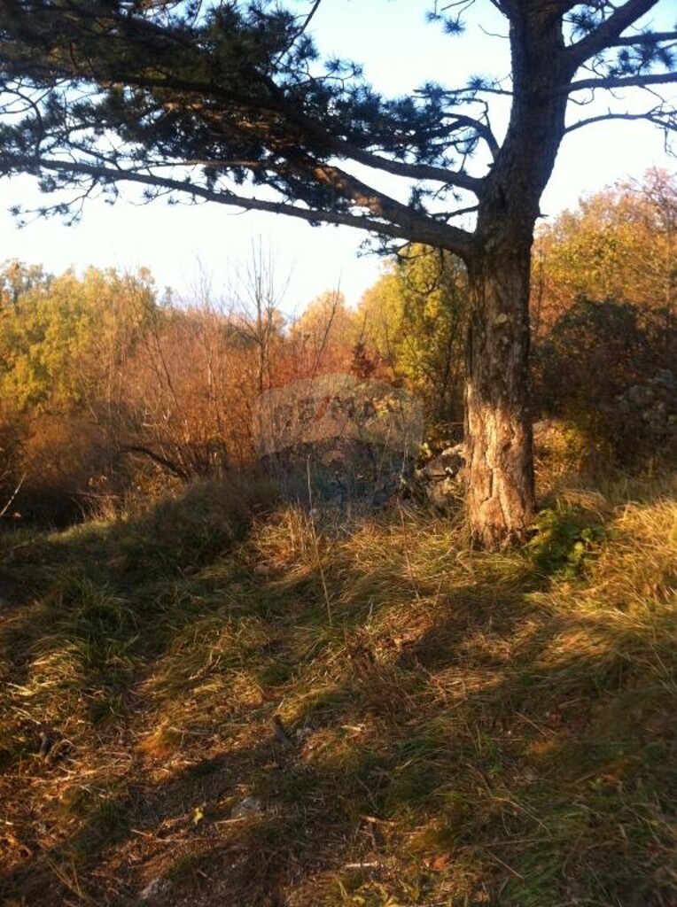 Image 5410798 - 2
