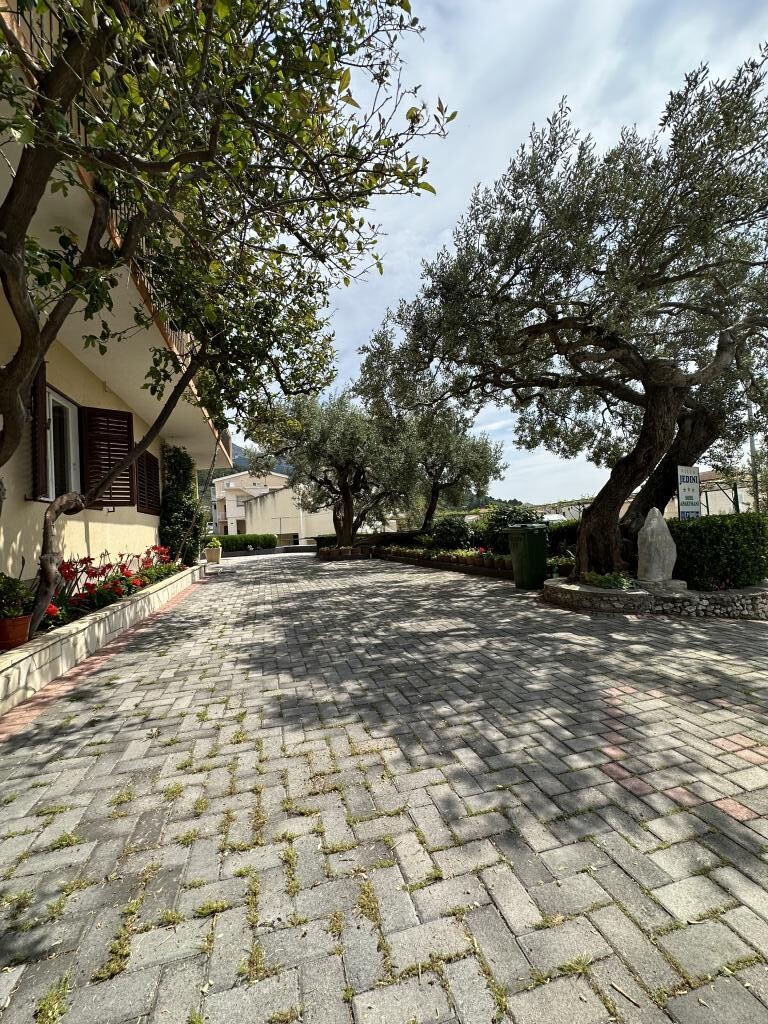 Image 13