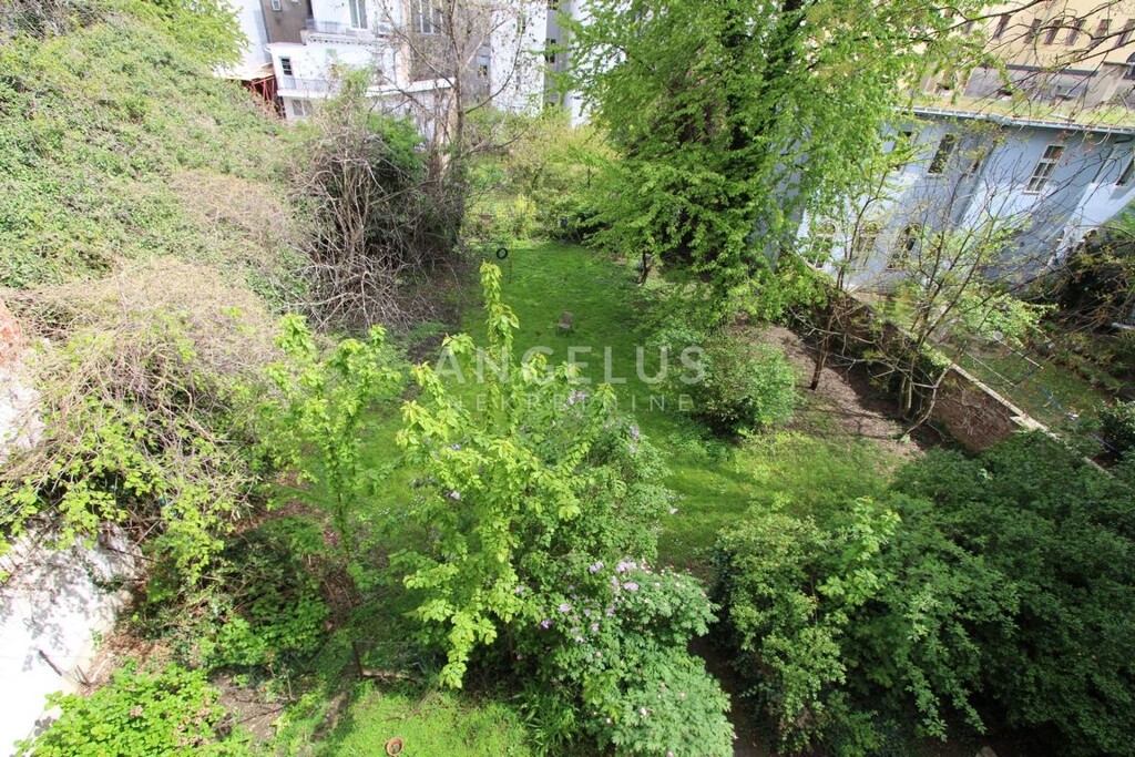Image 6208825 - 24