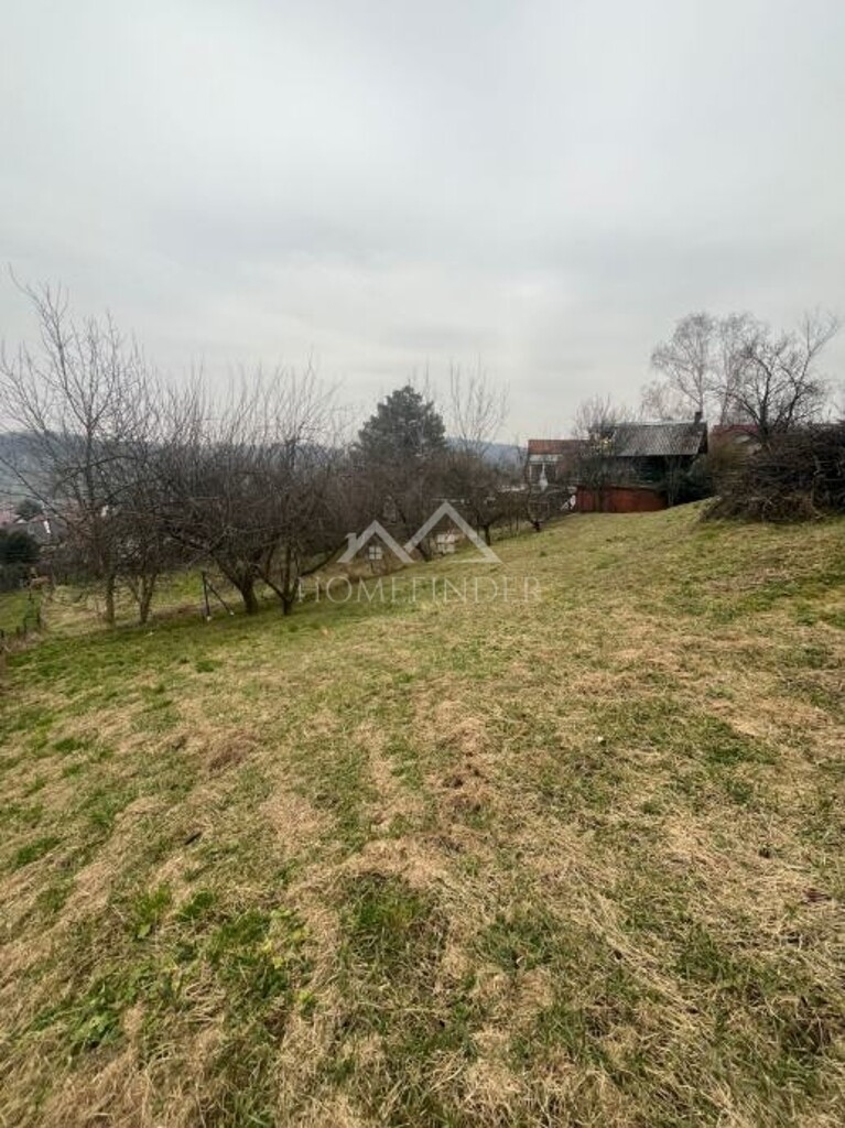 Image 15