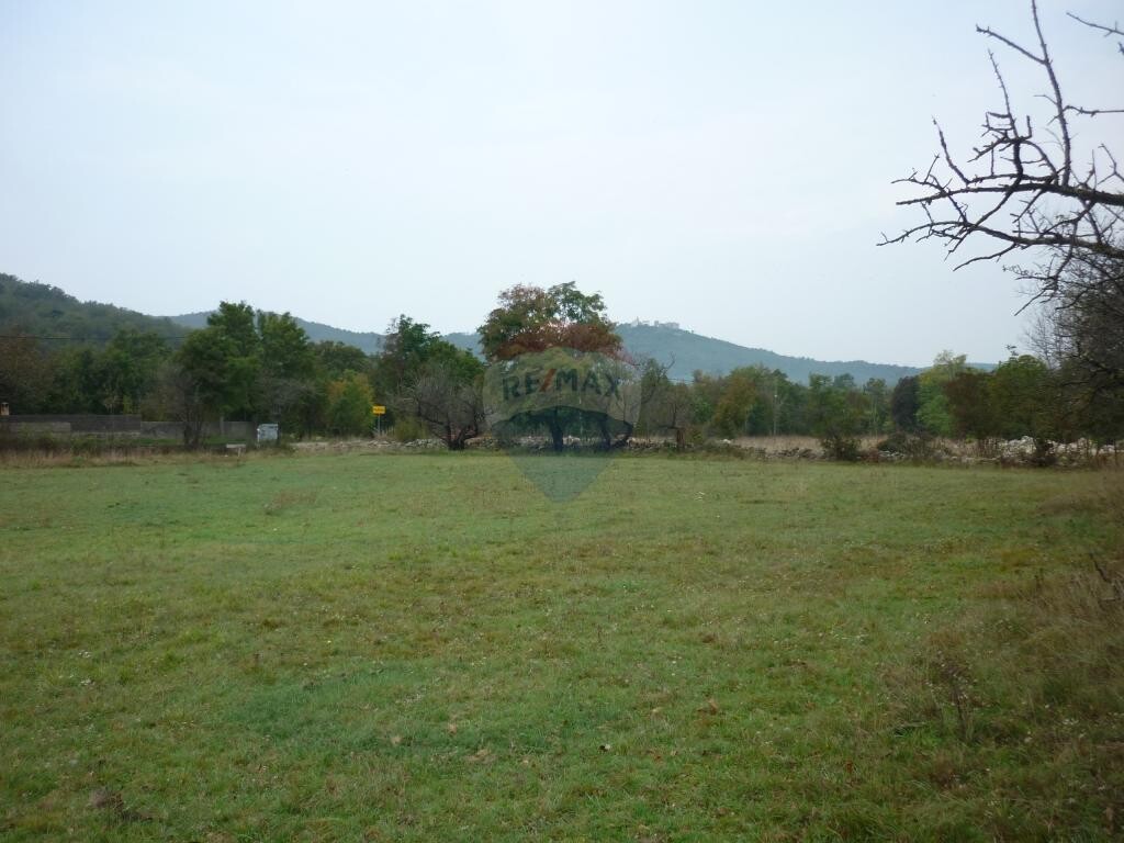 Image 5410964 - 1