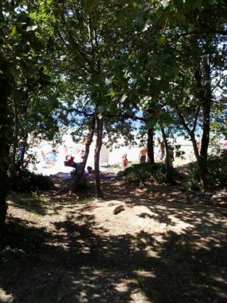 Image 3810558 - 10