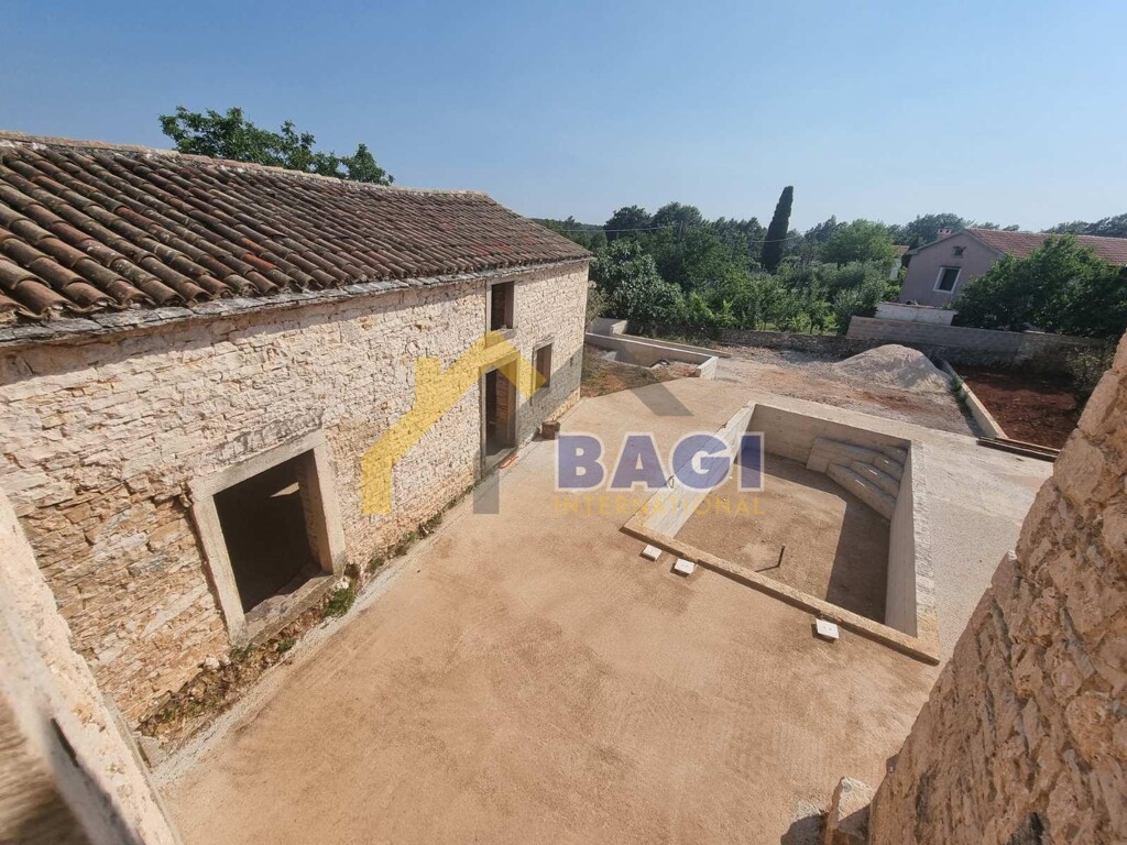 Image 13
