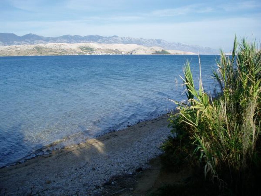 Image 3823622 - 50