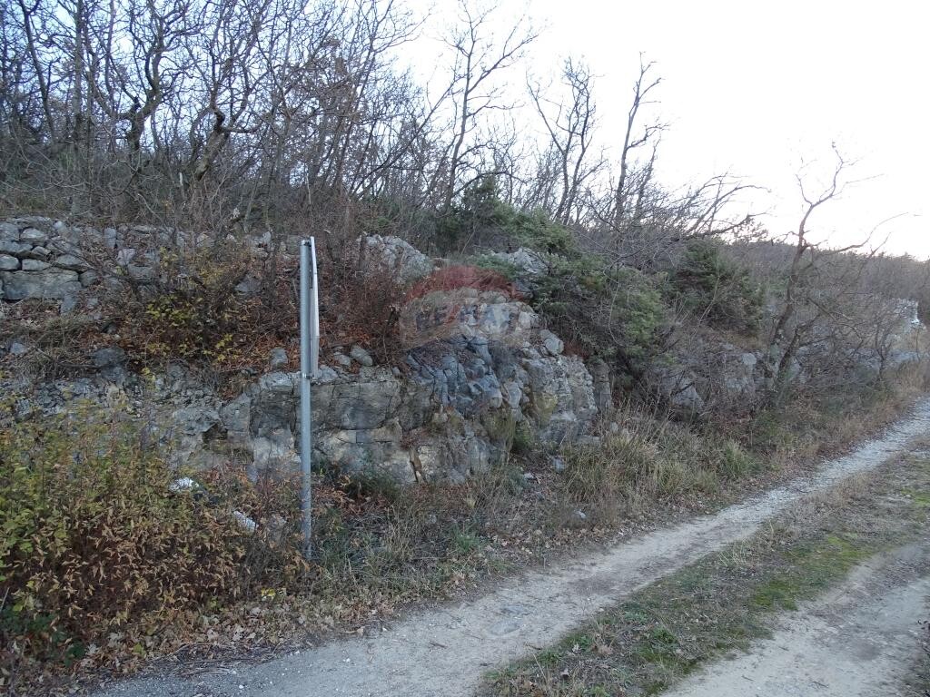 Image 5410607 - 2