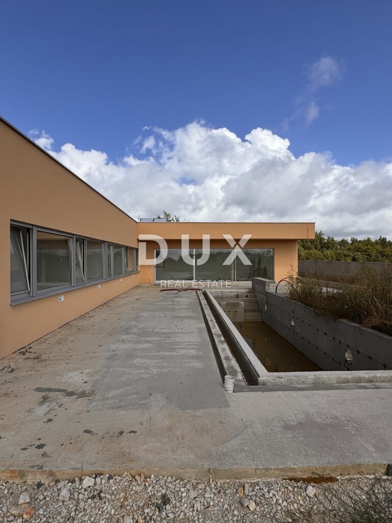 Image 9