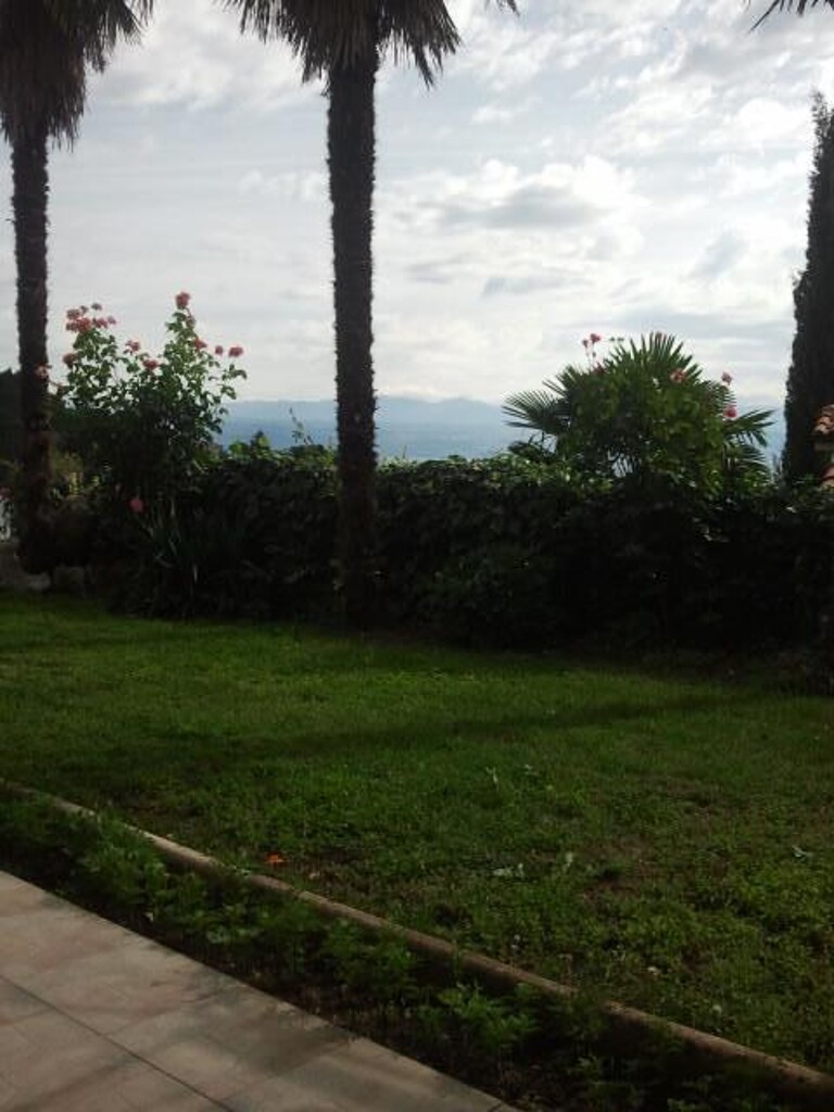 Image 3811335 - 29