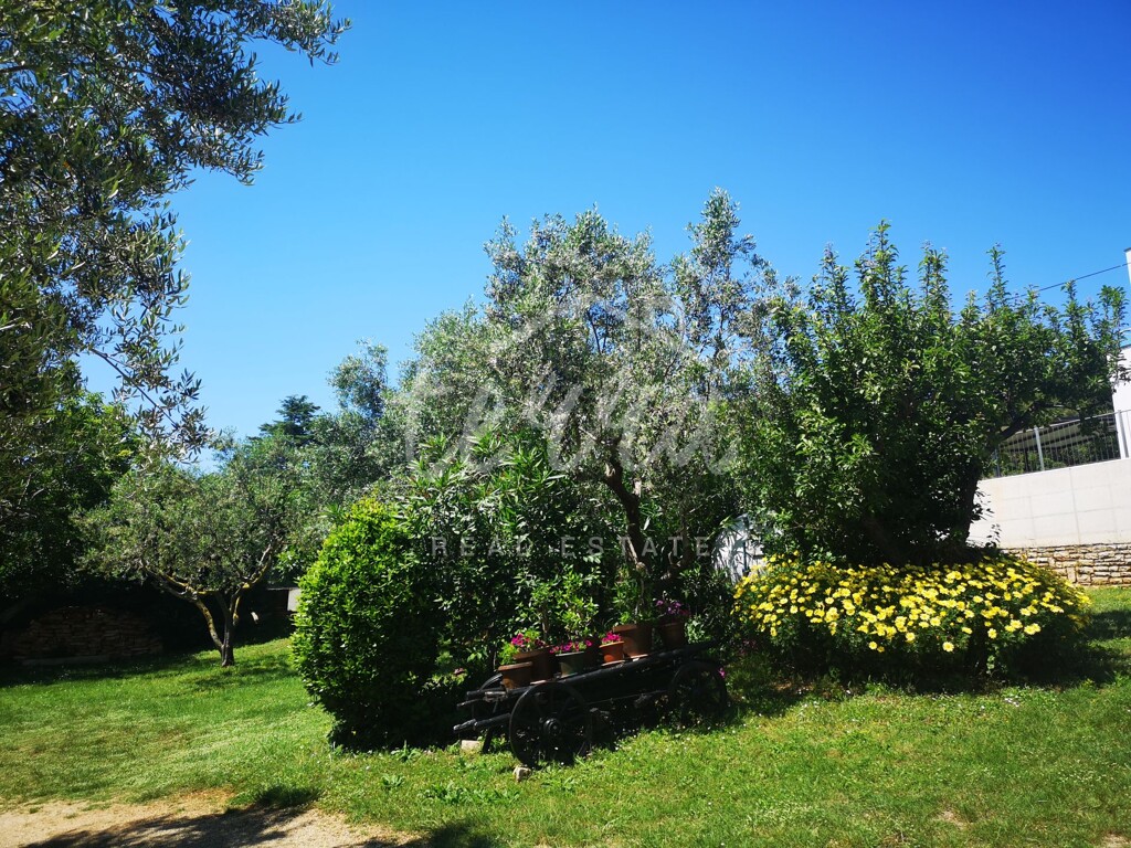 Image 14