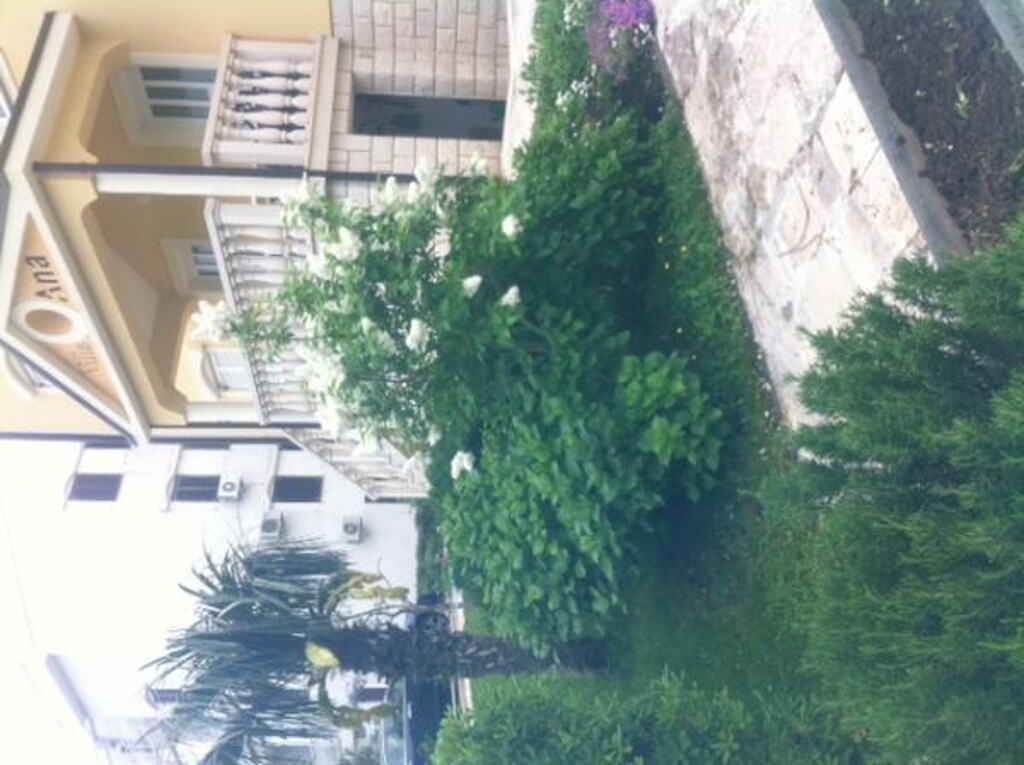 Image 3811562 - 22