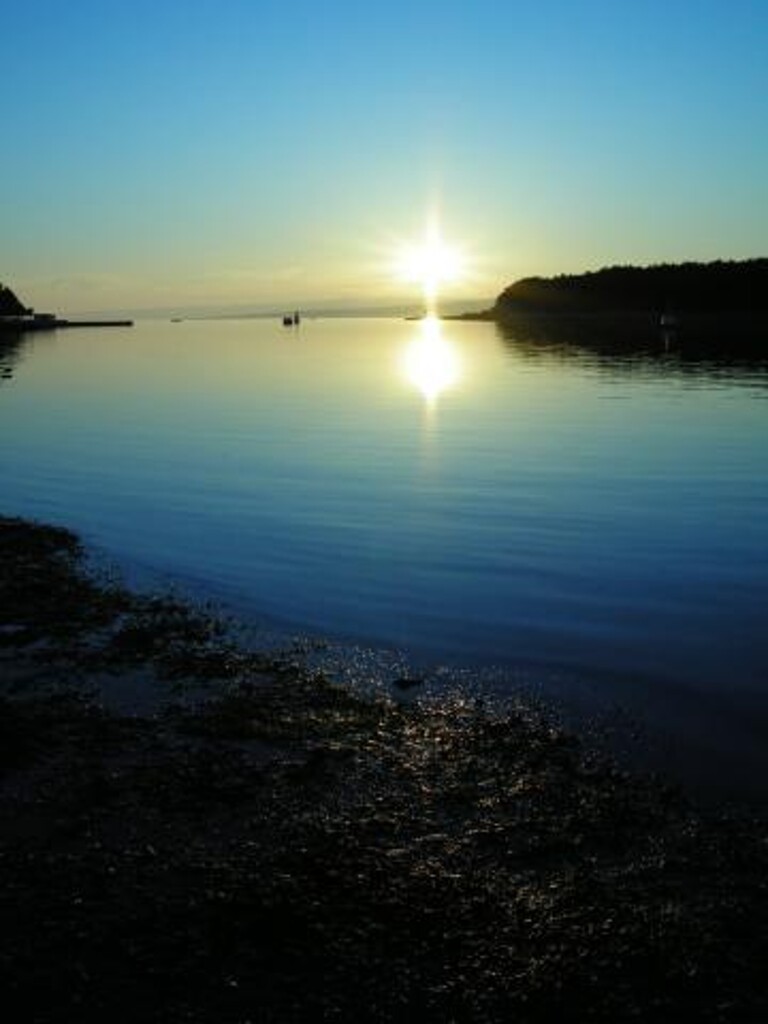 Image 3811928 - 11