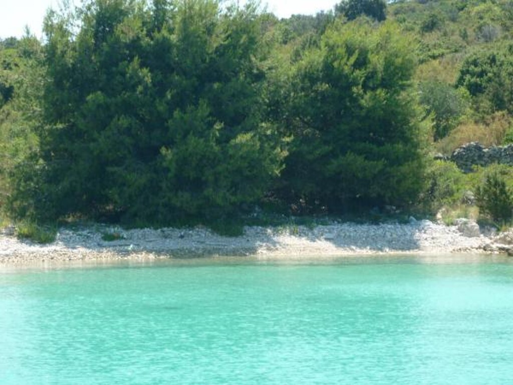 Image 3814472 - 5