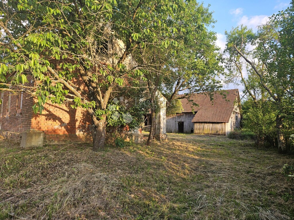 Image 10