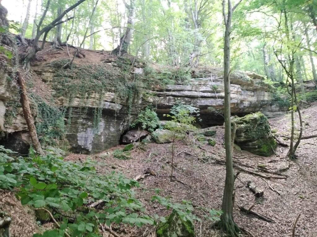 Image 13