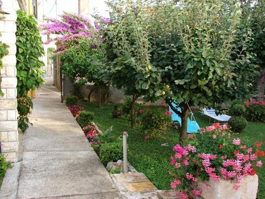 Image 3838794 - 5