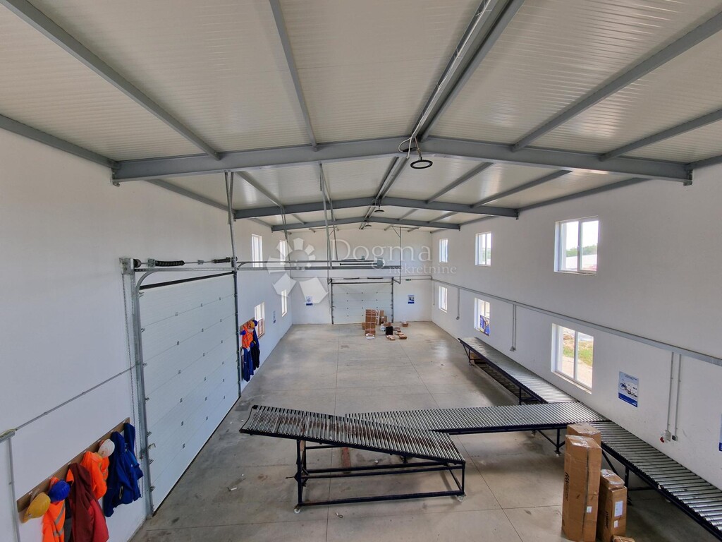 Image 3