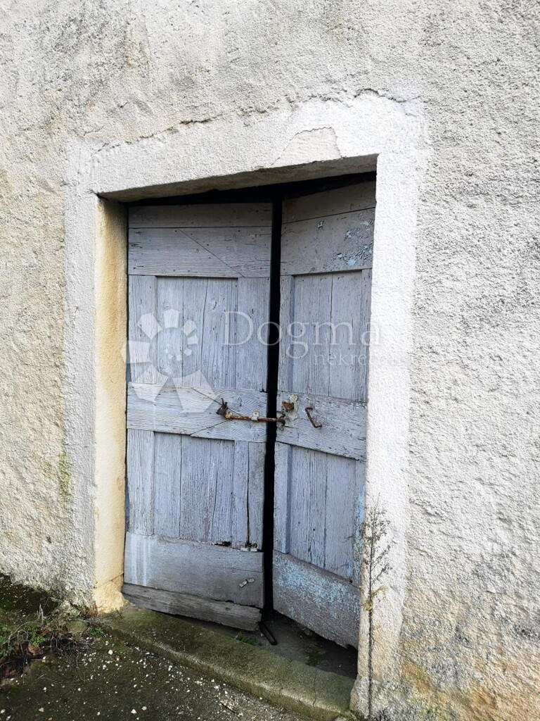 Image 20