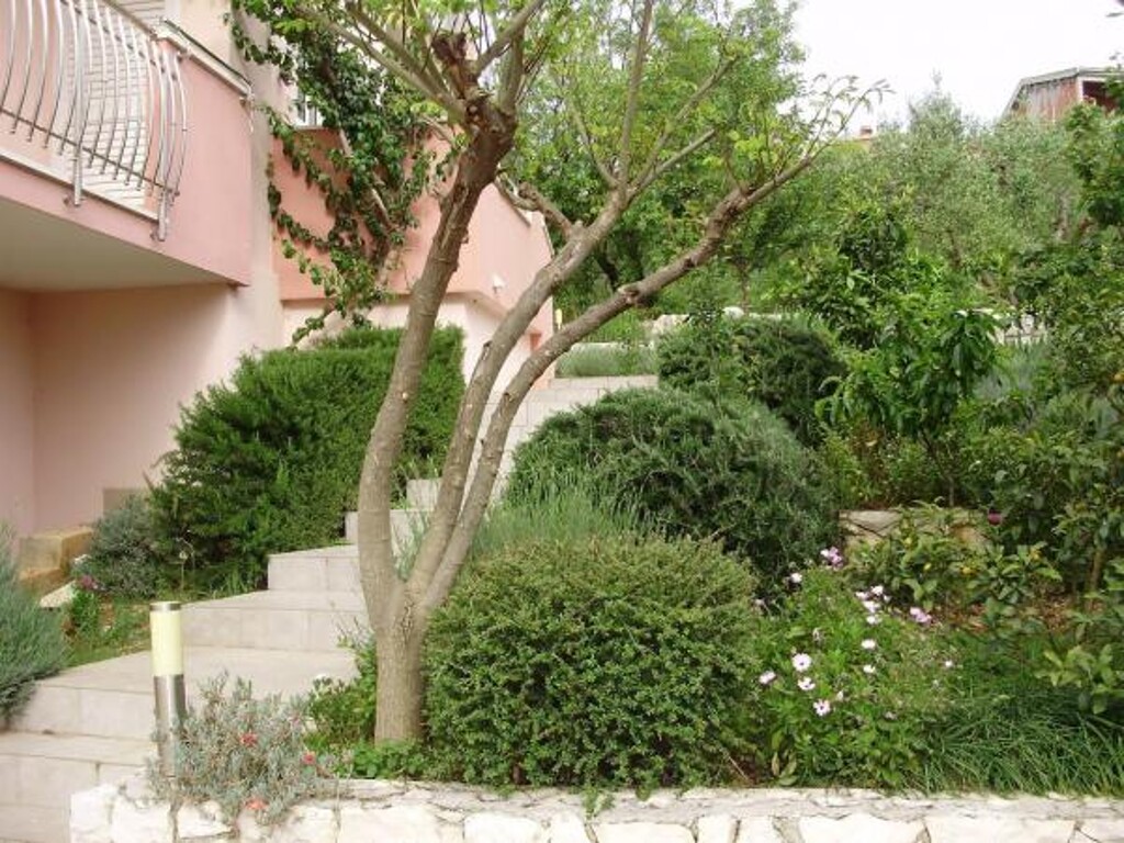 Image 3815107 - 11