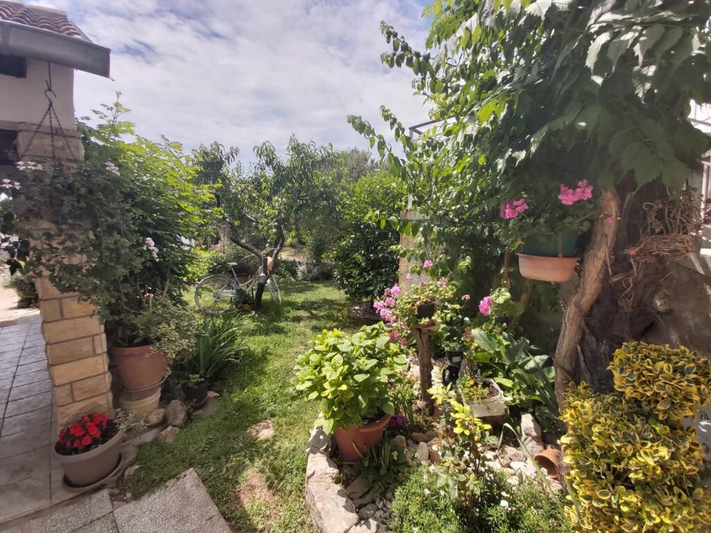 Image 3813095 - 10