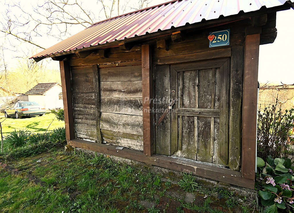Image 12