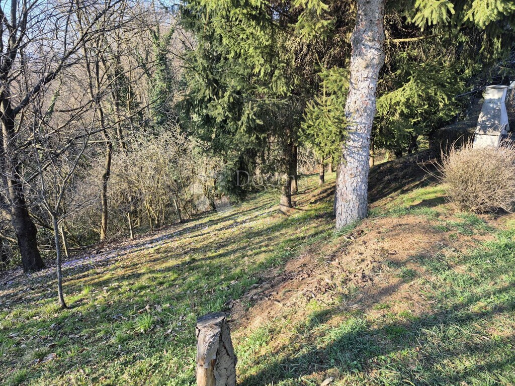 Image 23